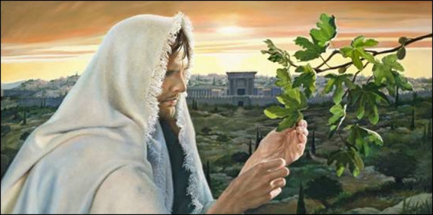 Jesús, el judío (XXXII)