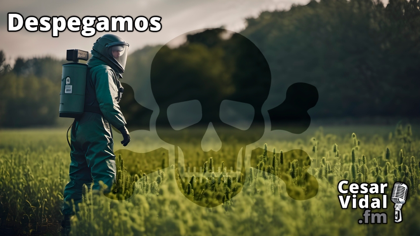 Despegamos: Golpe trashumanista de Microsoft, veneno Bayer–Monsanto y desplome europeo 2024 - 21/11/23