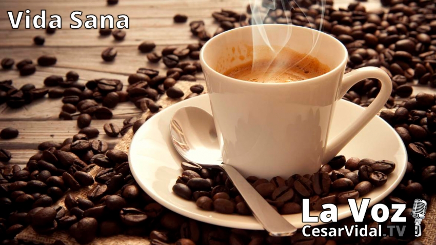Vida Sana: La historia del café - 25/11/20